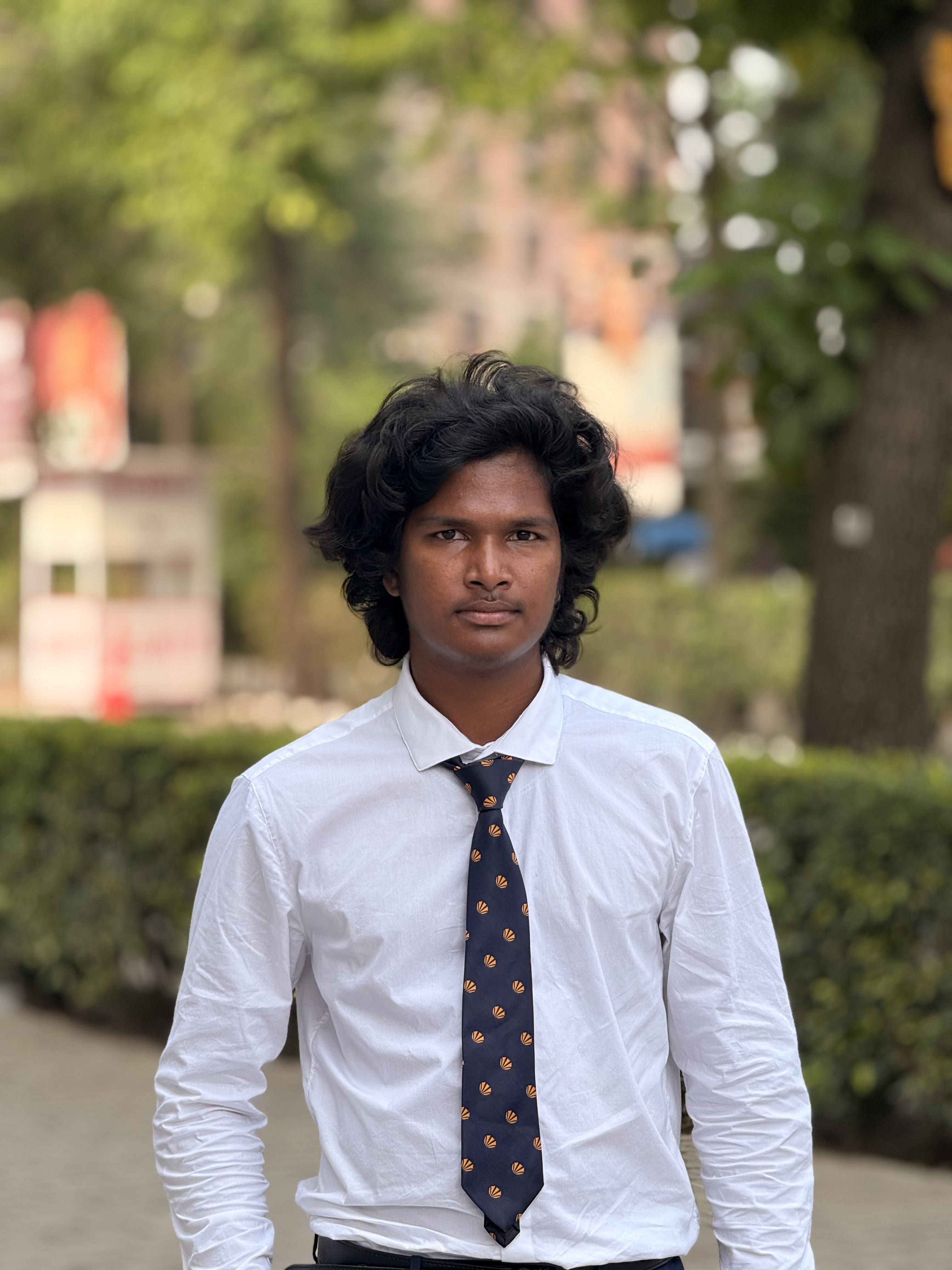 Developer